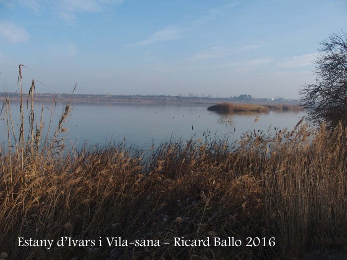 Estany d’Ivars i Vila-sana – Ivars d’Urgell i Vila-sana