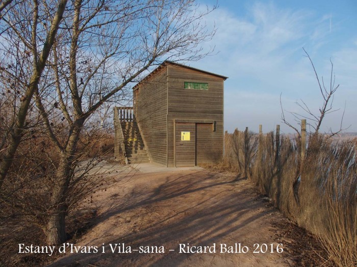 Estany d’Ivars i Vila-sana – Ivars d’Urgell i Vila-sana