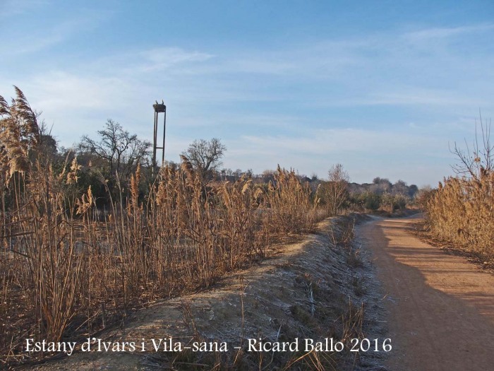 Estany d’Ivars i Vila-sana – Ivars d’Urgell i Vila-sana