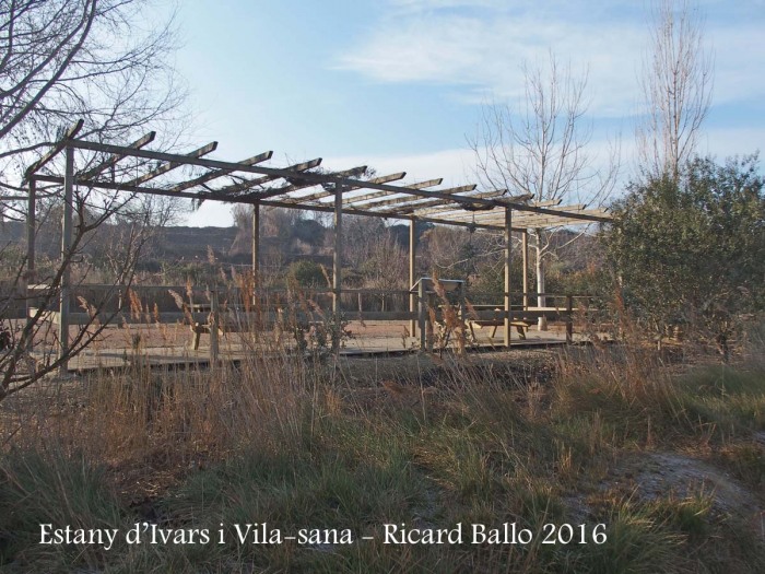 Estany d’Ivars i Vila-sana – Ivars d’Urgell i Vila-sana