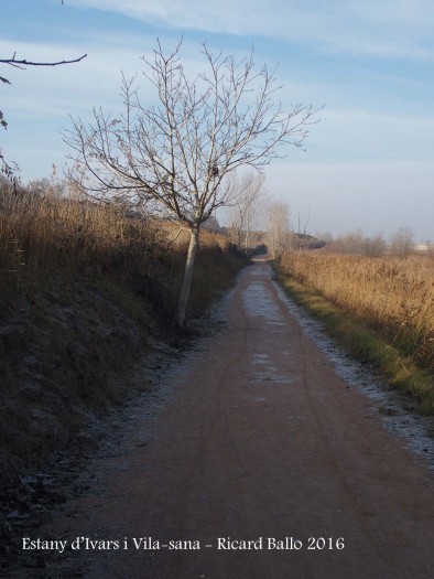 Estany d’Ivars i Vila-sana – Ivars d’Urgell i Vila-sana