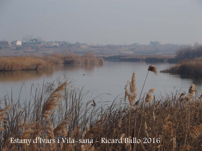 Estany d’Ivars i Vila-sana – Ivars d’Urgell i Vila-sana