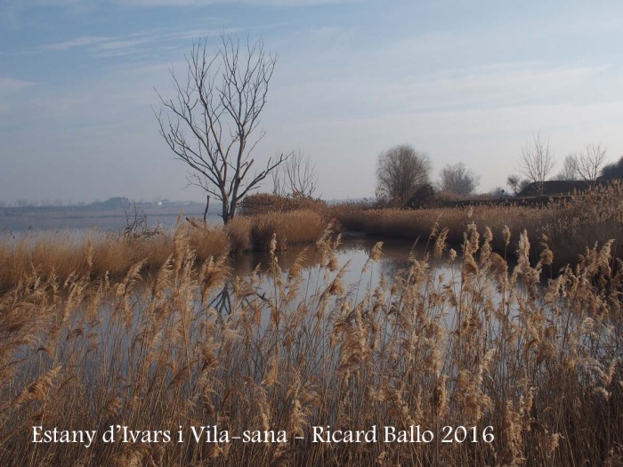 Estany d’Ivars i Vila-sana – Ivars d’Urgell i Vila-sana