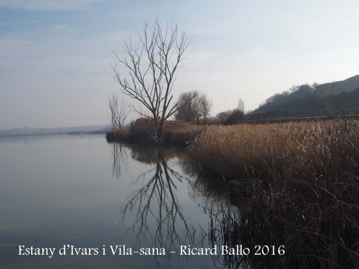 Estany d’Ivars i Vila-sana – Ivars d’Urgell i Vila-sana