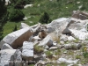 Estany petit de la Pera - Heus aquí un dels habitants de la zona: una marmota.