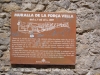 Muralles de Girona.