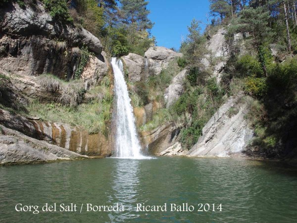 Gorg del Salt - Borredà