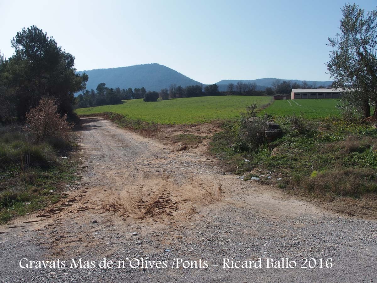 Gravats del Mas de n’Olives - Ponts - Vista del lloc on diem \" ... Procedents de Torreblanca, i a mig camí de Santa Cecília, a la vora del mas de n’Olives, en un punt situat a 41 55 26.7 01 08 31.5, prenem un camí de terra ...\"