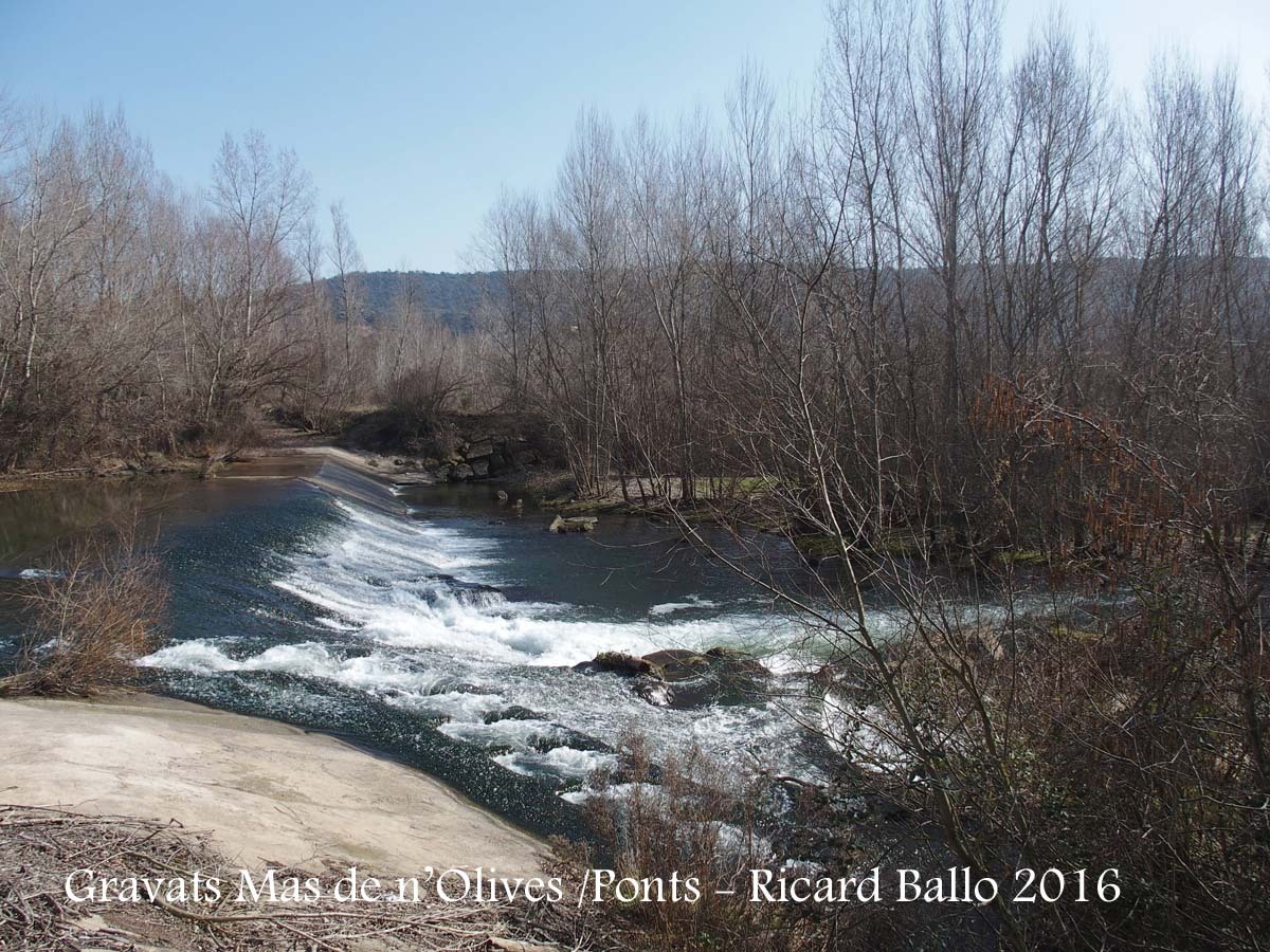 Gravats del Mas de n’Olives - Ponts - Riu Segre
