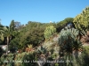 Jardí botànic Mar i Murtra – Blanes