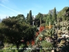 Jardí botànic Mar i Murtra – Blanes