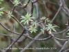 Jardí botànic Mar i Murtra – Blanes