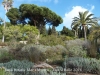 Jardí botànic Mar i Murtra – Blanes