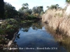 Jardí botànic Mar i Murtra – Blanes