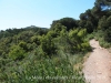 Sant Llorenç del Munt / La Mola i voltants - Una mostra del camí