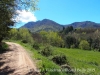 Camí a La Sala / Viladrau