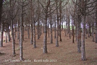 Les Torretes - Calella / Exèrcit de vigilants ...