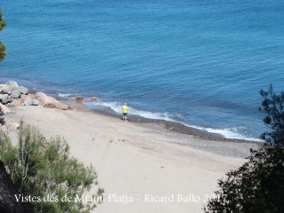 Miami platja - Vistes