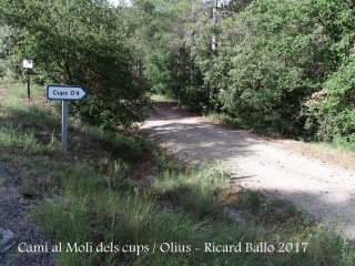 Camí al Molí dels cups – Olius