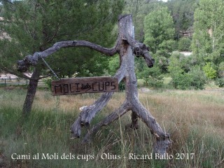 Camí al Molí dels cups – Olius