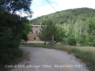 Camí al Molí dels cups – Olius