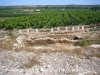 Vistes des del Monestir de la Mare de Déu dels Àngels d’Avinganya -Serós