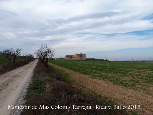 Monestir de Mas Colom - Tàrrega