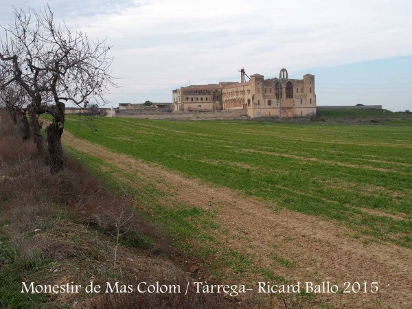 Monestir de Mas Colom - Tàrrega