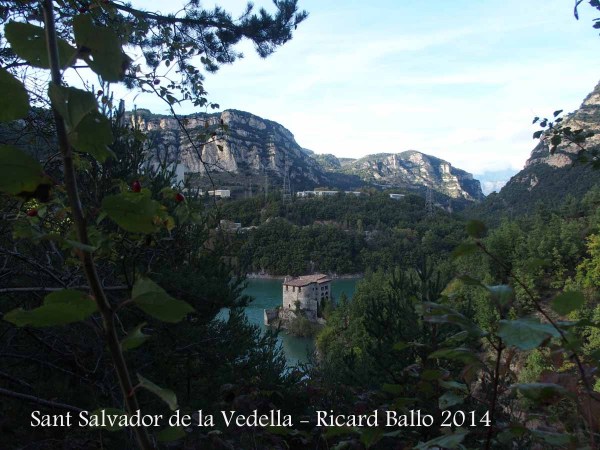 Monestir de Sant Salvador de la Vedella – Cercs