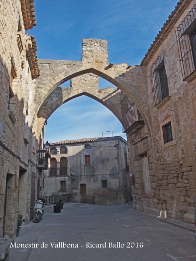 Monestir de Santa Maria de Vallbona – Vallbona de les Monges - Restes situades al carrer, davant del monestir, corresponents a un antic celler