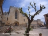 Monestir de Santes Creus