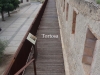 Muralla i estructures defensives medievals – Tortosa
