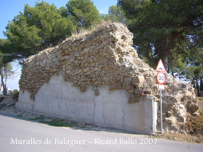 balaguer-071026_517