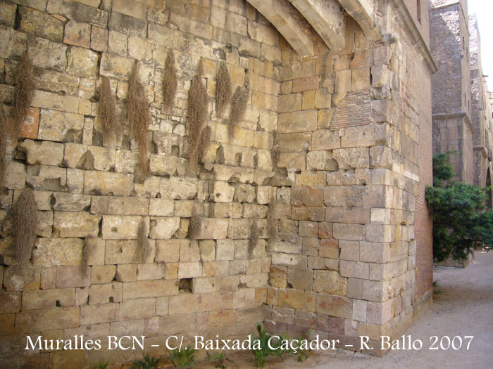 bcn-muralla-romana-c-baixada-del-cazador-070804_502