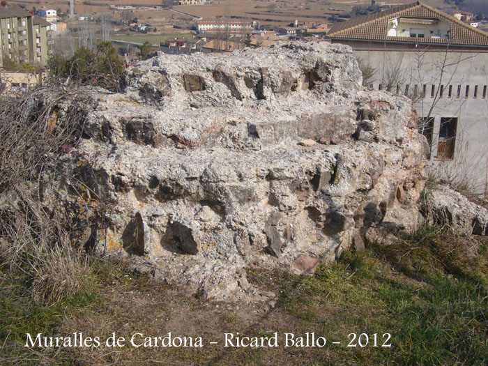 muralles-de-cardona-120225_503