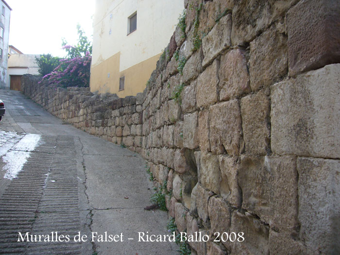 muralla-de-falset-080911_505