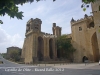 Castillo de Olite-NAVARRA