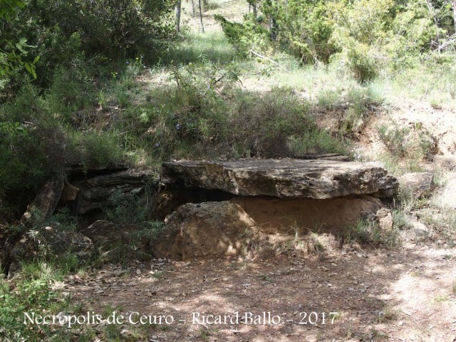 Necròpolis de Ceuró – Castellar de la Ribera