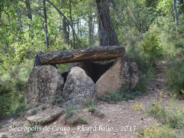 Necròpolis de Ceuró – Castellar de la Ribera