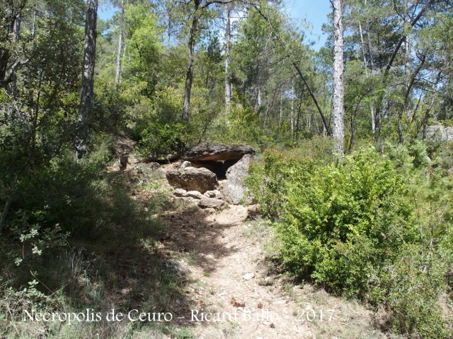 Necròpolis de Ceuró – Castellar de la Ribera