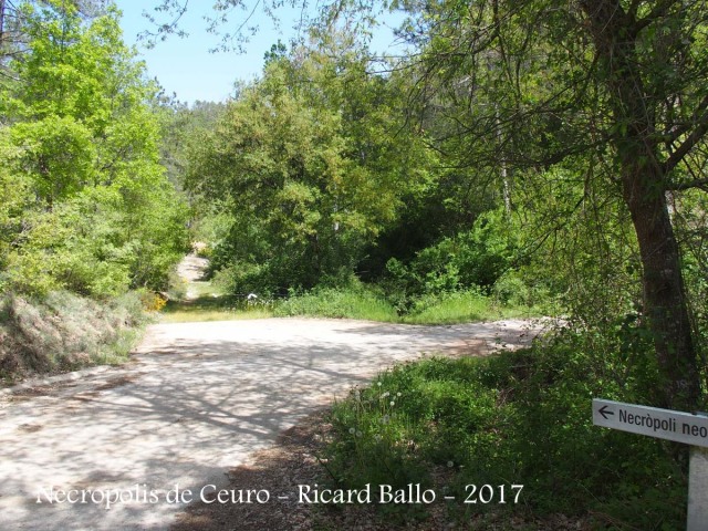 Necròpolis de Ceuró – Castellar de la Ribera