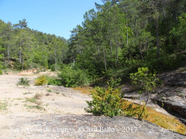 Necròpolis de Ceuró – Castellar de la Ribera