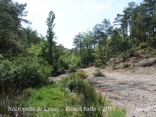 Necròpolis de Ceuró – Castellar de la Ribera
