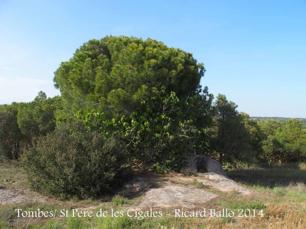 Ruïnes de l’església de Sant Pere de les Cigales – Navàs - Tomba antropomorfa.