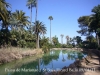 Palau de Marianao – Sant Boi de Llobregat - 2011