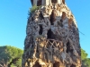 Palau de Marianao-Torre mirador