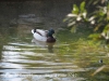 Parc de Torreblanca - Sant Just Desvern