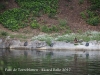 Parc de Torreblanca - Sant Just Desvern