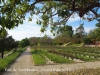 Parc de Torreblanca - Sant Just Desvern