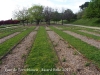 Parc de Torreblanca - Sant Just Desvern